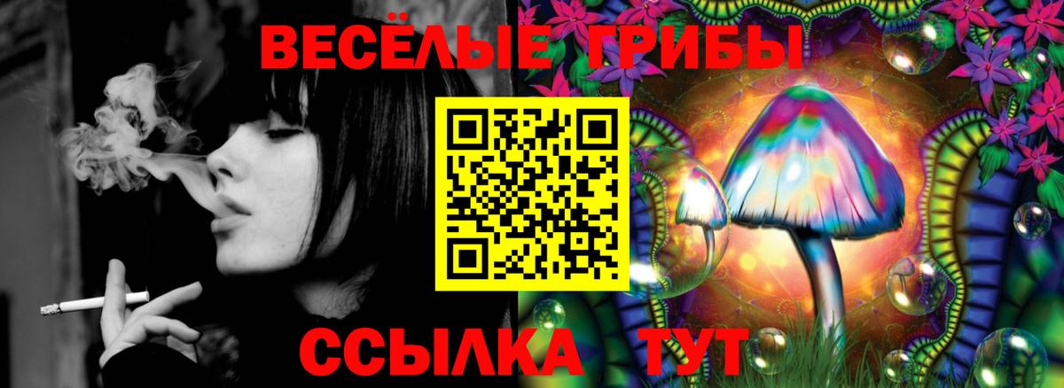где можно купить   Вход с VPN  Калининград  Псилоцибиновые грибы Psilocybe 