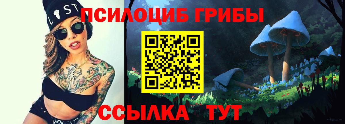 Псилоцибиновые грибы мухоморы Калининград